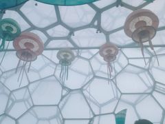 -水立方嬉水乐园