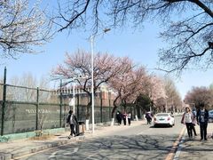 -吉林大学(南岭校区)