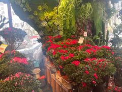 -山东嘉汇文化用品有限公司张店凤凰国际分公司(新村西路店)