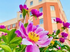 -南开大学滨海学院