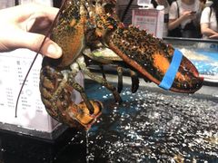 波士顿龙虾-盒马鲜生(曜一城店)