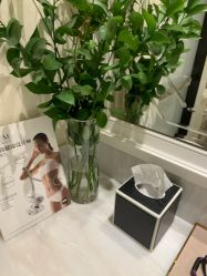 -奥斯芬欧系贵族SPA