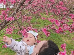 -堤角公园