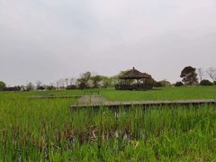 -梁鸿国家湿地公园