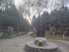 -函谷关历史文化旅游区