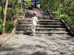 -汕尾铜鼎山旅游区