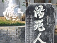 -活死人墓