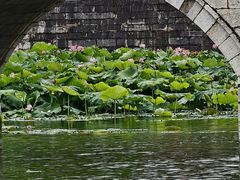 -建水文庙