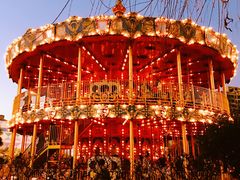 -锦江乐园舞狸花花游园会(夜场专享)