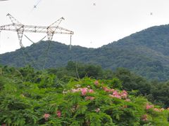 -广州市帽峰山景区