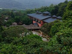 景点-天门沟九州驿站树上汤泉