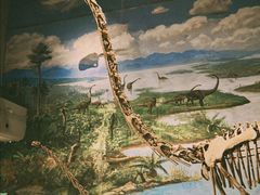 -自贡恐龙博物馆