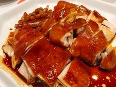 -姚姚酸菜鱼·金戈戈香港豉油鸡(喜荟城联名店)