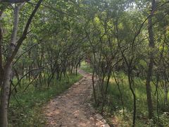 -涂山风景区