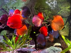 -上海海洋水族馆