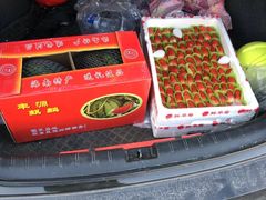 -东方鼎信农副产品交易中心