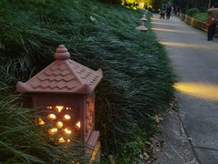 -普陀山雷迪森庄园