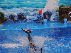 -多彩贵州城极地海洋世界