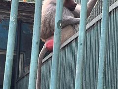 -秦皇岛野生动物园