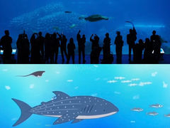 -珠海长隆海洋王国