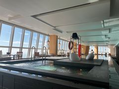 -上海柏悦酒店