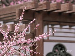 -国家植物园