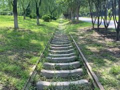 -永定河休闲森林公园