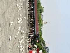 -泰达航母主题公园