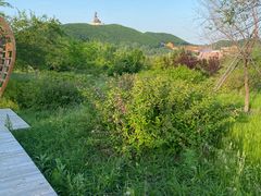 -六鼎山文化旅游区