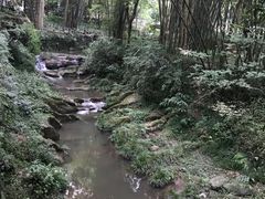 -峨眉山报国寺