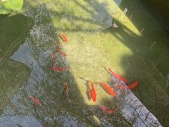 -濮园 · 四合院餐厅