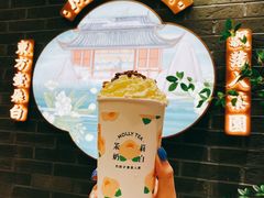 一朵茉莉花-茉莉奶白