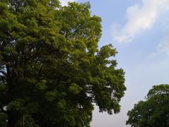 -淮海战役纪念馆