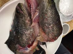 -活鱼馆(宜兴埠店)