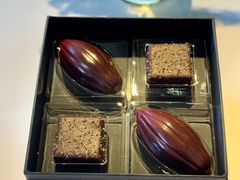 -BLACKSWAN黑天鹅(环球店)