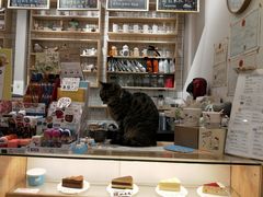 -猫的天空之城概念书店(苏州平江店)