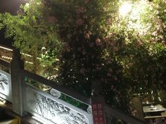 -楠柏弯休闲山庄(梨花溪店)