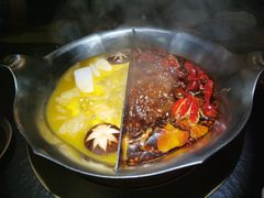 -湊湊火锅·茶憩(石家庄万象城店)