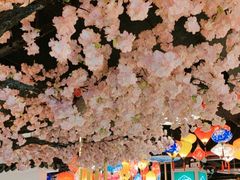 -渝厨生态火锅(合川区府店)