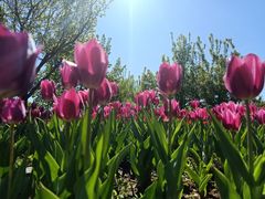 -长春公园(普阳街道)