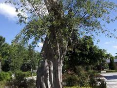 -崇圣寺三塔文化旅游区