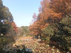 -杭州半山国家森林公园