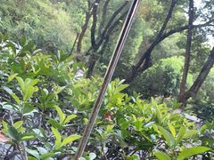 -新疆杭州疗养院·富春山庄