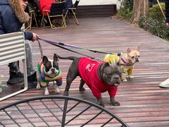 -一尺花园(安和花园店)