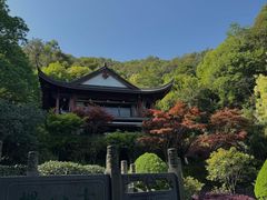 -十八棵（老龙井）御茶园(老龙井店)