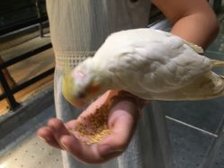 -酷嗒动物文化乐园(cutezoo西溪乐天城店)