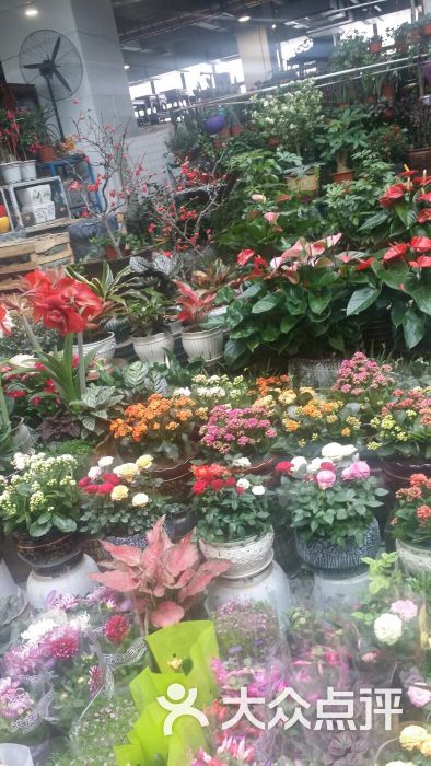 金三角花卉市场-图片-大连购物-大众点评网