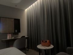 -和颐至尚酒店(上海陆家嘴浦电路地铁站店)