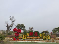 -南通鲜花小镇