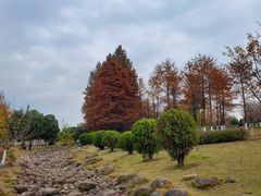 -白塘生态植物园